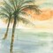Island Sunset I Poster Print by Chris Paschke - Item # VARPDX23897
